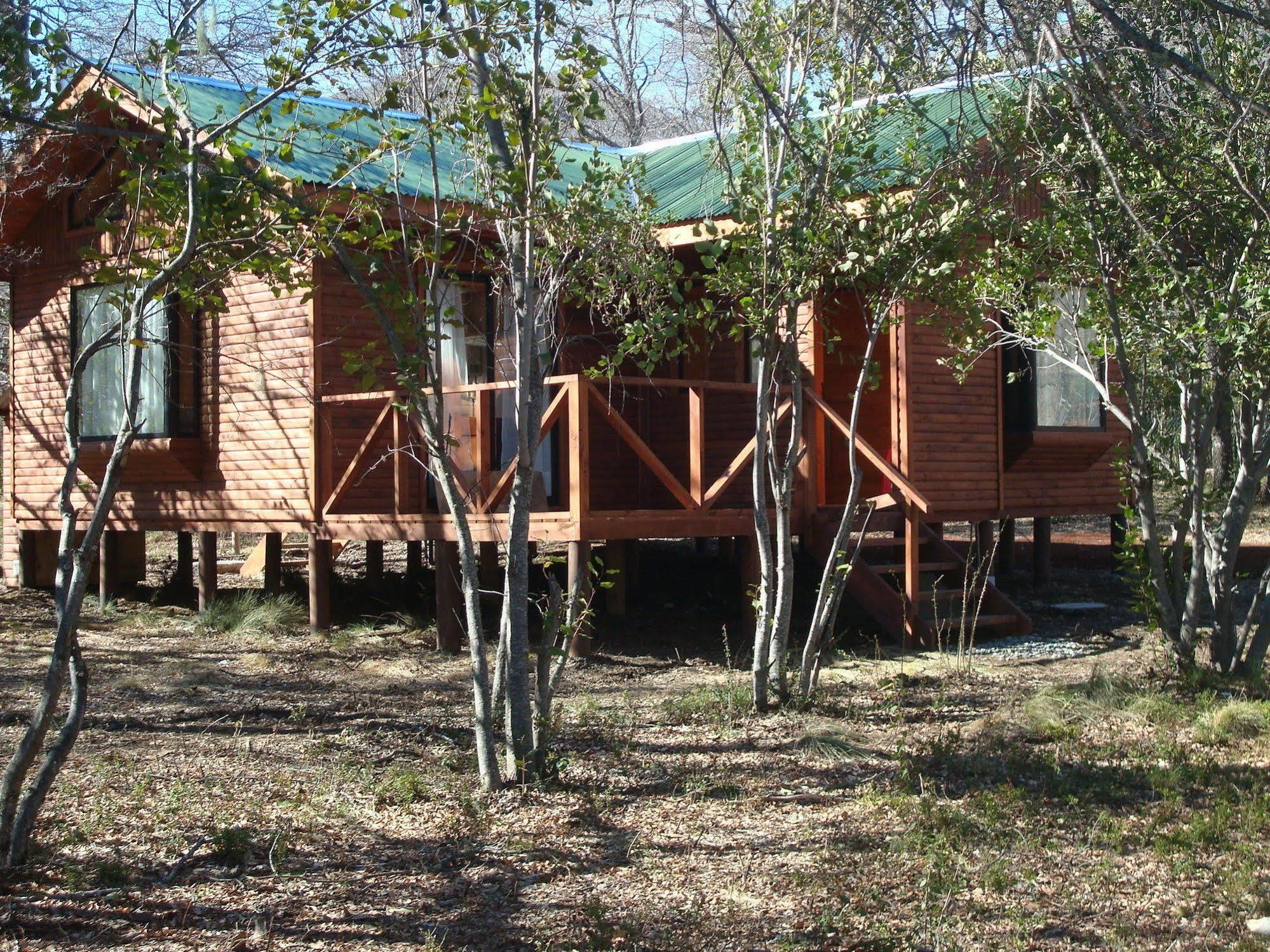 Cabanas Roble Quemado Las Trancas Eksteriør bilde