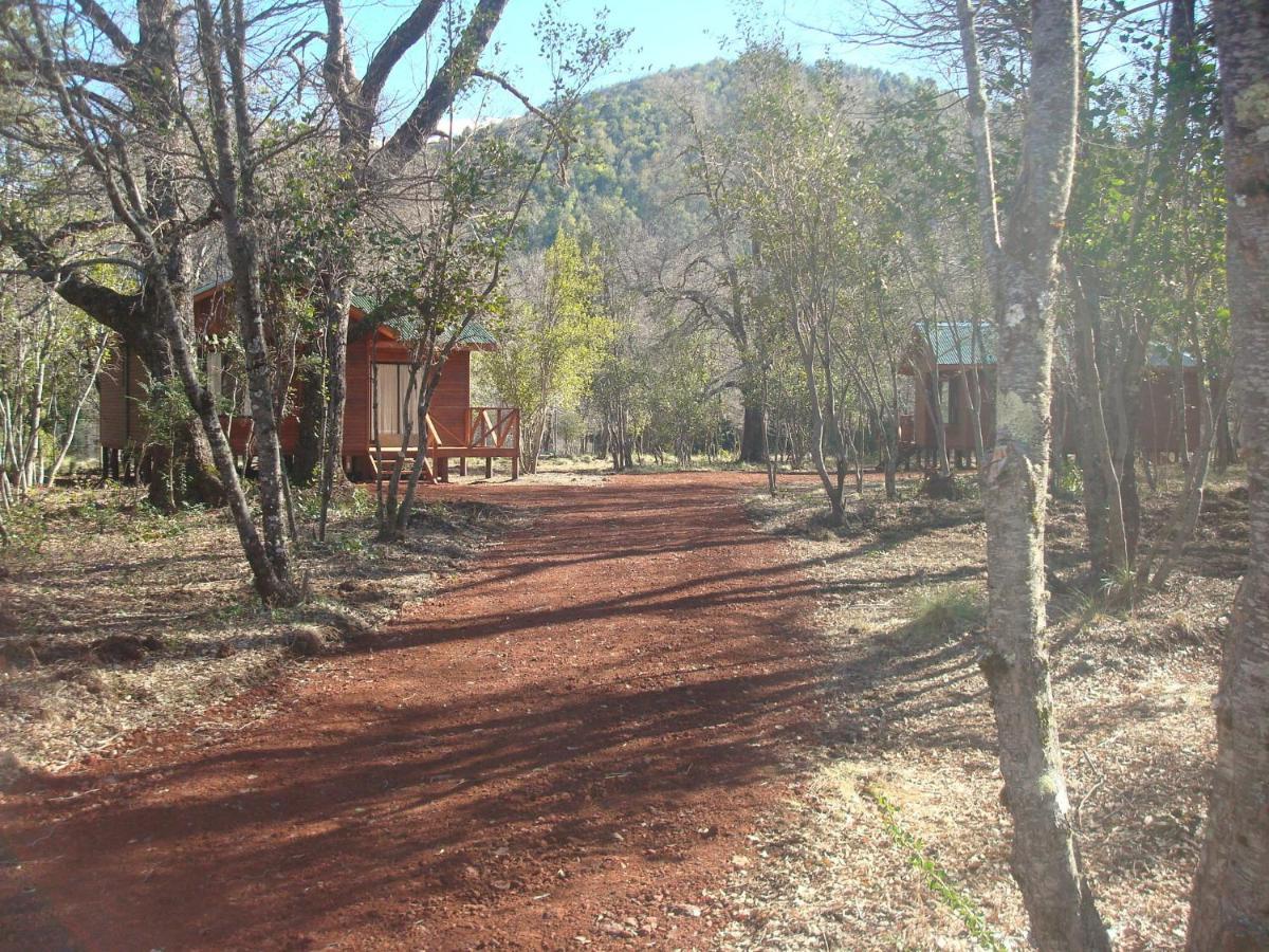 Cabanas Roble Quemado Las Trancas Rom bilde