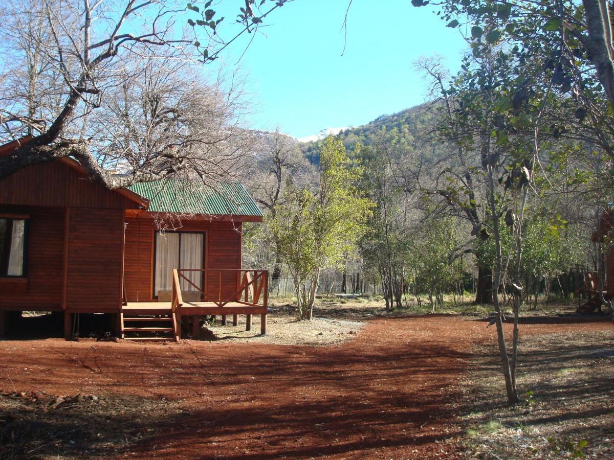 Cabanas Roble Quemado Las Trancas Rom bilde