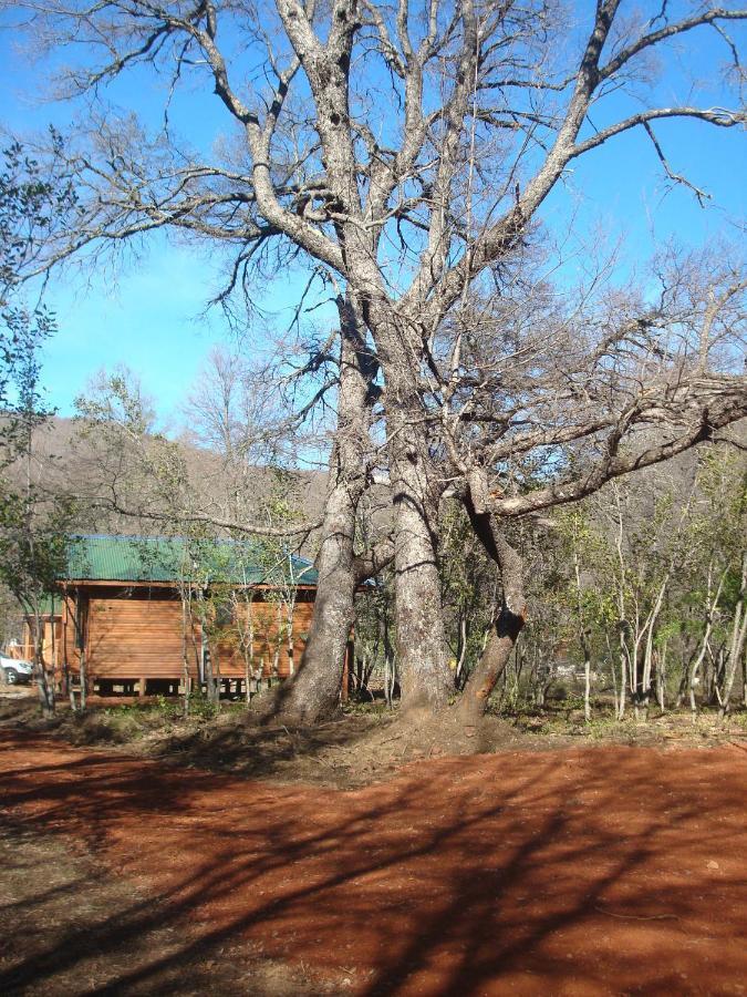 Cabanas Roble Quemado Las Trancas Rom bilde